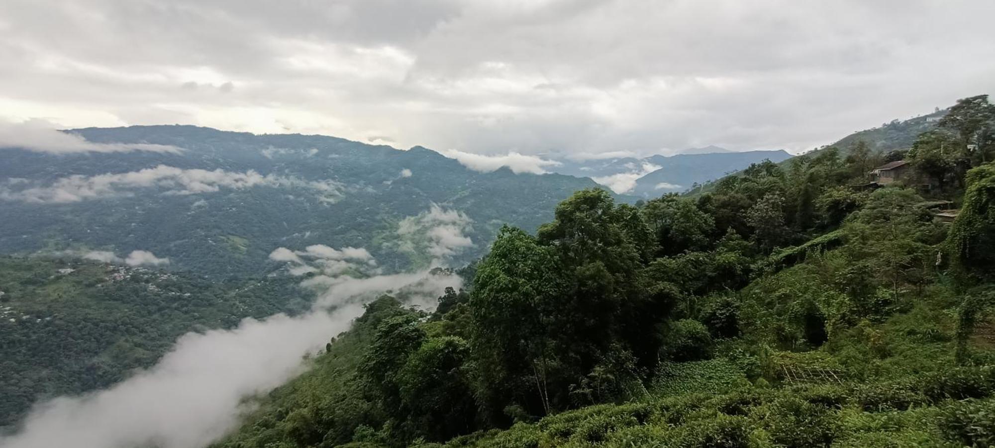 Tharbaling Homestay Darjeeling (West Bengal) Exterior foto